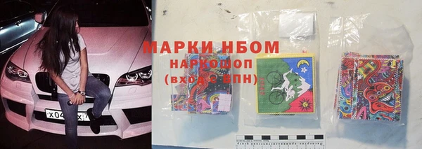 стаф Володарск