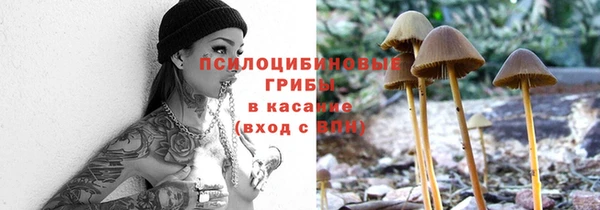 стаф Володарск
