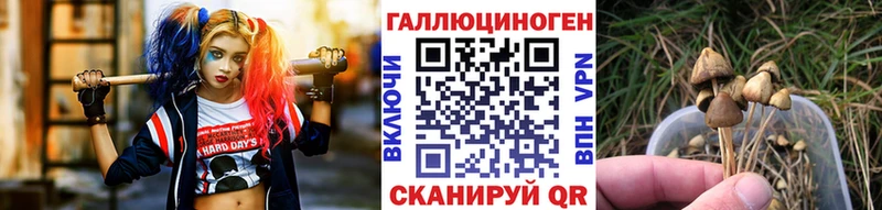 сколько стоит  Мариинск  Галлюциногенные грибы мухоморы 