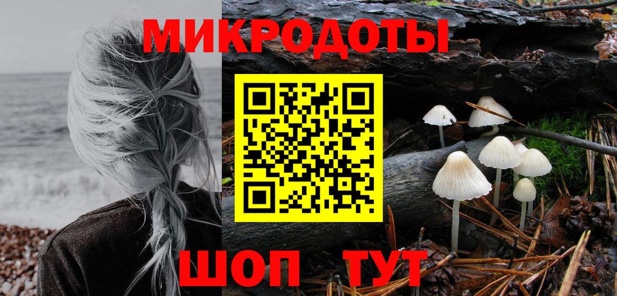 Псилоцибиновые грибы Psilocybe  Вход с VPN  Мариинск 